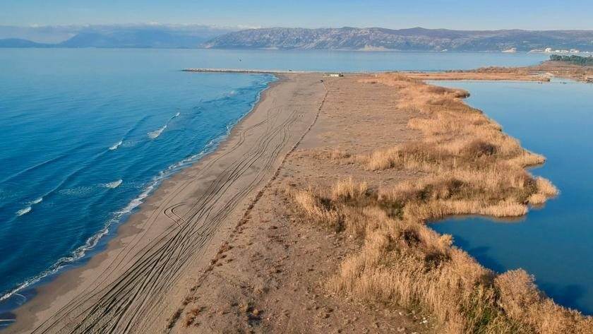Rinia — gjuha e rërës